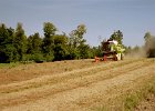 Claas Drescher 36